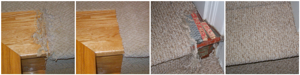 Berber carpet pet damage